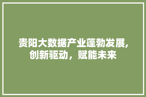 贵阳大数据产业蓬勃发展,创新驱动，赋能未来 头条优化