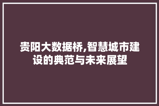 贵阳大数据桥,智慧城市建设的典范与未来展望