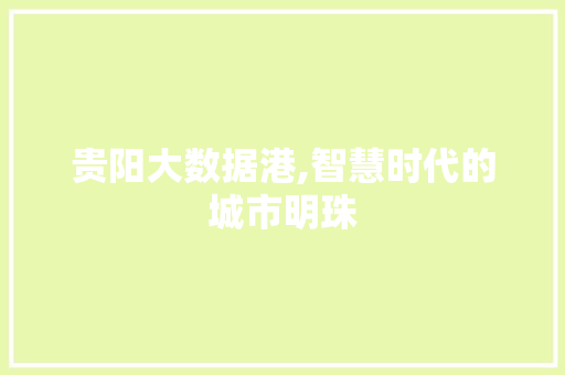 贵阳大数据港,智慧时代的城市明珠 英文谷歌算法