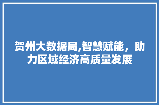 贺州大数据局,智慧赋能，助力区域经济高质量发展 360搜优化