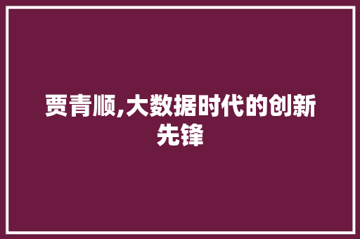 贾青顺,大数据时代的创新先锋