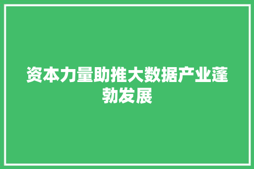 资本力量助推大数据产业蓬勃发展