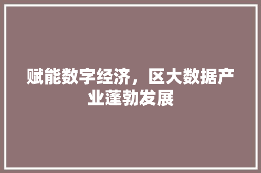 赋能数字经济，区大数据产业蓬勃发展