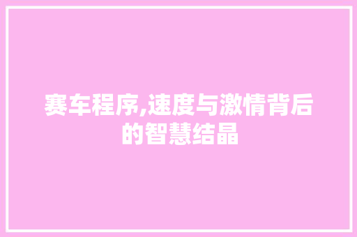 赛车程序,速度与激情背后的智慧结晶