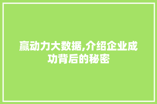 赢动力大数据,介绍企业成功背后的秘密 AI技术学习