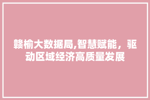 赣榆大数据局,智慧赋能，驱动区域经济高质量发展