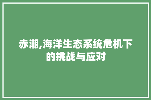 赤潮,海洋生态系统危机下的挑战与应对