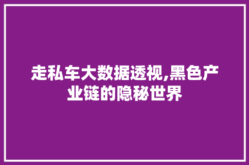 走私车大数据透视,黑色产业链的隐秘世界