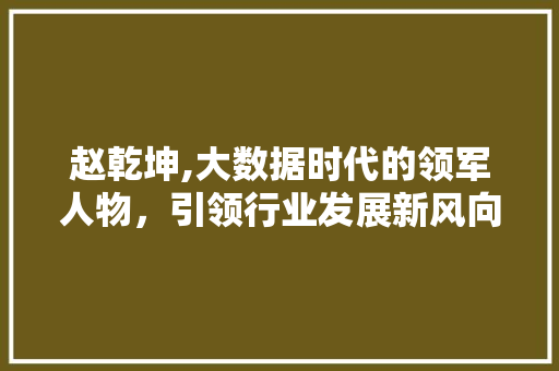 赵乾坤,大数据时代的领军人物，引领行业发展新风向 网站优化