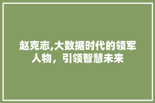 赵克志,大数据时代的领军人物，引领智慧未来 seo技术