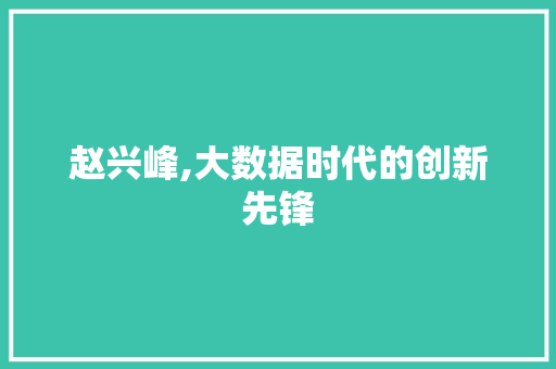 赵兴峰,大数据时代的创新先锋 搜狗优化