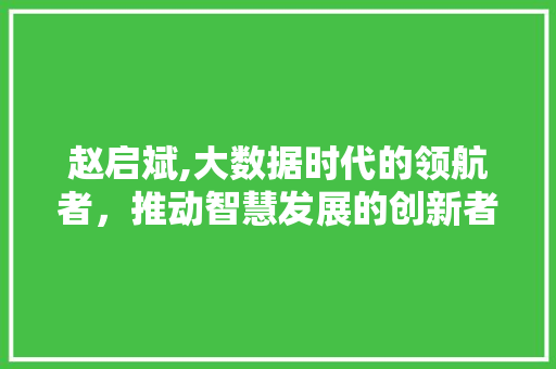 赵启斌,大数据时代的领航者，推动智慧发展的创新者 AI技术学习