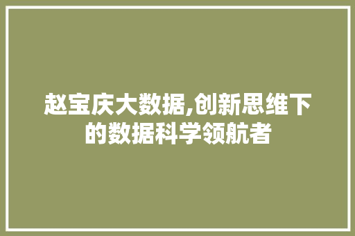 赵宝庆大数据,创新思维下的数据科学领航者 头条优化