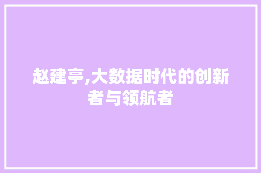 赵建亭,大数据时代的创新者与领航者 英文谷歌算法