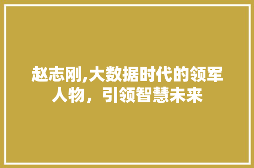 赵志刚,大数据时代的领军人物，引领智慧未来 搜狗优化