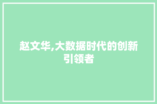 赵文华,大数据时代的创新引领者 网站优化