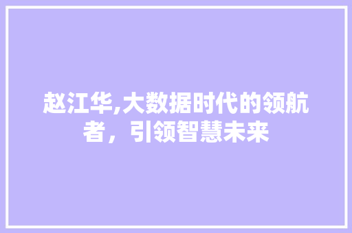 赵江华,大数据时代的领航者，引领智慧未来