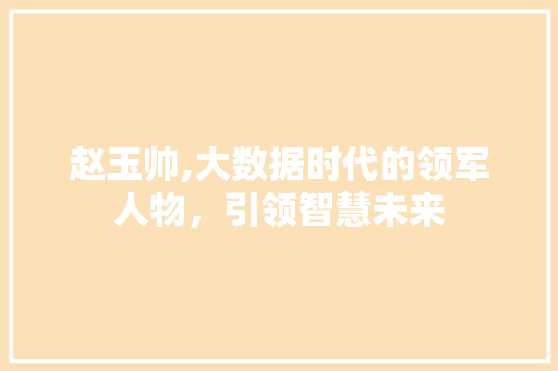 赵玉帅,大数据时代的领军人物，引领智慧未来 网站优化