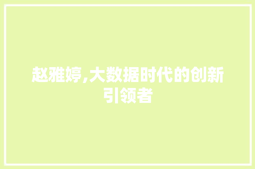 赵雅婷,大数据时代的创新引领者 网站开发