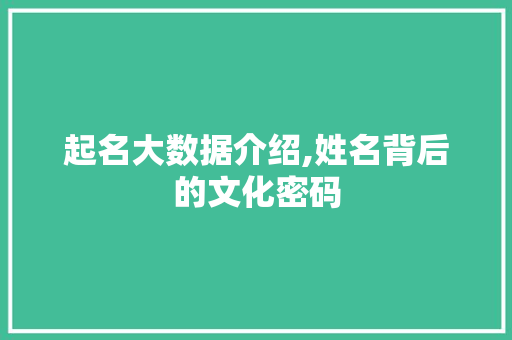 起名大数据介绍,姓名背后的文化密码
