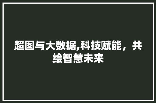 超图与大数据,科技赋能，共绘智慧未来