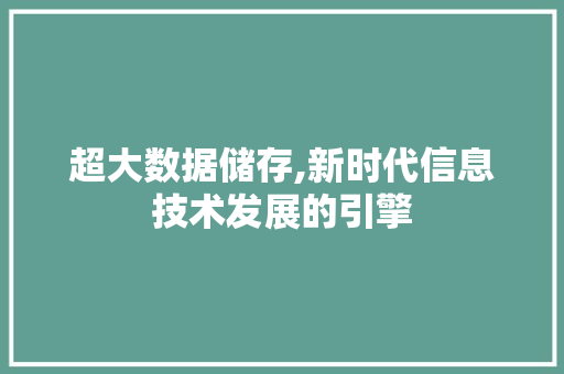 超大数据储存,新时代信息技术发展的引擎