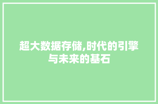 超大数据存储,时代的引擎与未来的基石