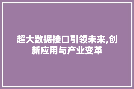 超大数据接口引领未来,创新应用与产业变革
