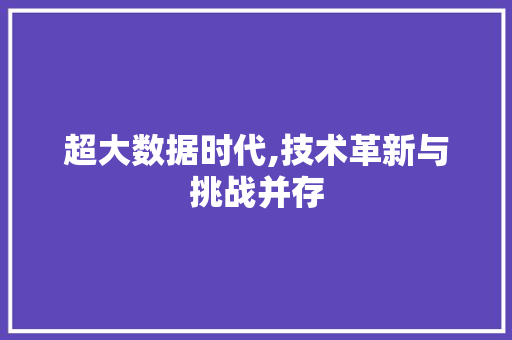 超大数据时代,技术革新与挑战并存