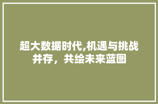 超大数据时代,机遇与挑战并存，共绘未来蓝图 小程序开发