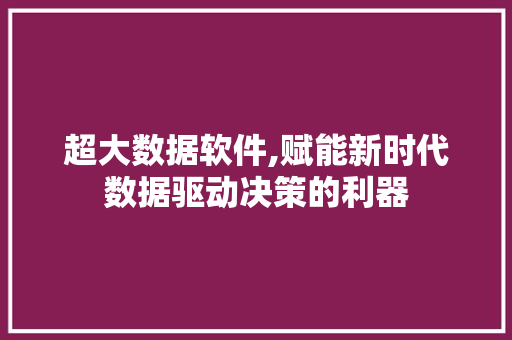 超大数据软件,赋能新时代数据驱动决策的利器