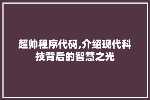 超帅程序代码,介绍现代科技背后的智慧之光