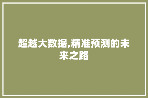 超越大数据,精准预测的未来之路