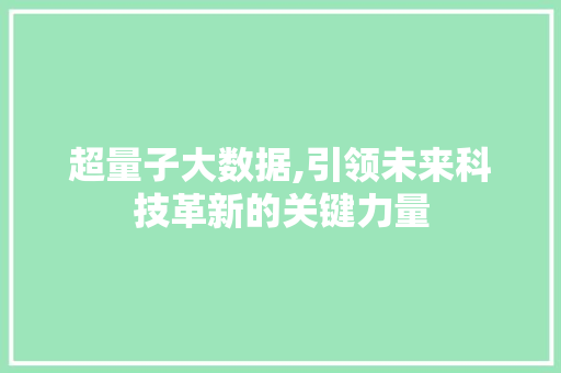 超量子大数据,引领未来科技革新的关键力量