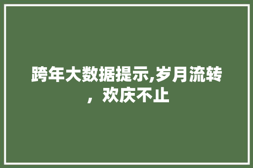 跨年大数据提示,岁月流转，欢庆不止
