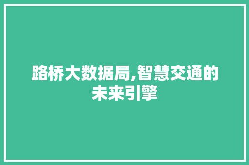 路桥大数据局,智慧交通的未来引擎 360搜优化