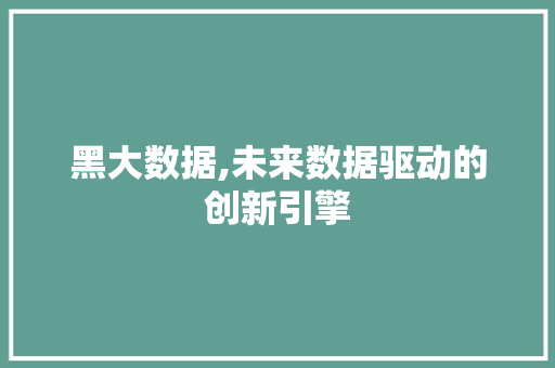 黑大数据,未来数据驱动的创新引擎 英文谷歌算法