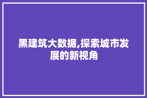 黑建筑大数据,探索城市发展的新视角