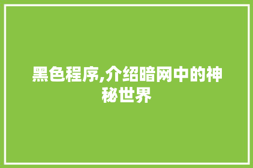 黑色程序,介绍暗网中的神秘世界