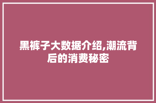 黑裤子大数据介绍,潮流背后的消费秘密