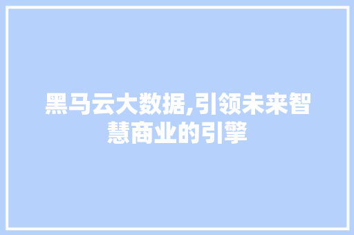 黑马云大数据,引领未来智慧商业的引擎