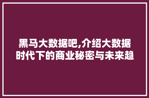 黑马大数据吧,介绍大数据时代下的商业秘密与未来趋势 搜狗优化
