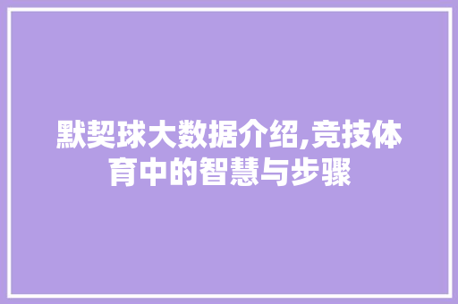 默契球大数据介绍,竞技体育中的智慧与步骤