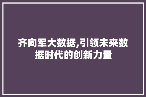 齐向军大数据,引领未来数据时代的创新力量