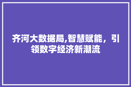齐河大数据局,智慧赋能，引领数字经济新潮流 seo技术