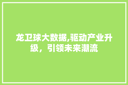 龙卫球大数据,驱动产业升级，引领未来潮流 360搜优化