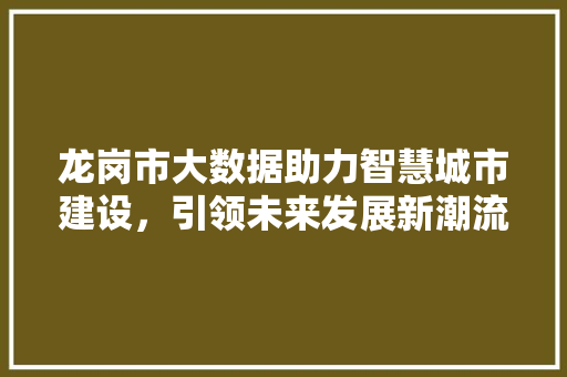 龙岗市大数据助力智慧城市建设，引领未来发展新潮流