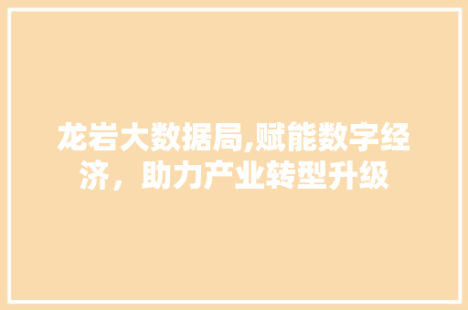 龙岩大数据局,赋能数字经济，助力产业转型升级