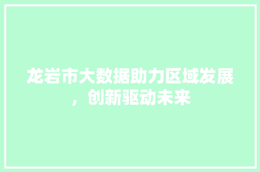 龙岩市大数据助力区域发展，创新驱动未来 网站优化