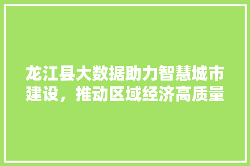 龙江县大数据助力智慧城市建设，推动区域经济高质量发展